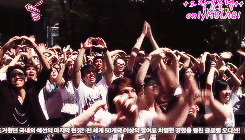 scribblenote:  MBLAQ’s Absolute Fanboys  ლ(ಠ_ಠ ლ) 