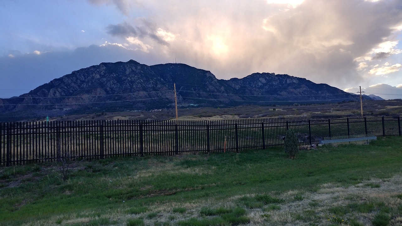 Took a break from sewing to walk my dog and it was so beautiful outside. It&rsquo;s