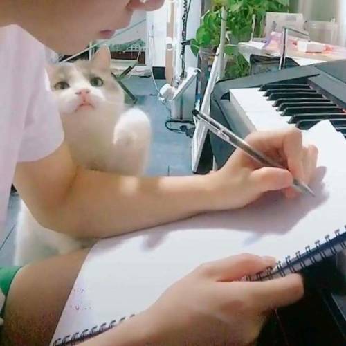 themagicalladycat:Um excuse me Human, I love you!
