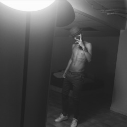 Kingredzrose