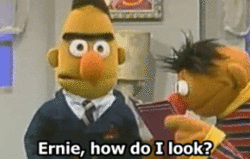 asammyg - Cut the shit, Ernie.