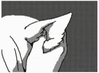 I Want To Touch Ren's Ears And Tail So Much!