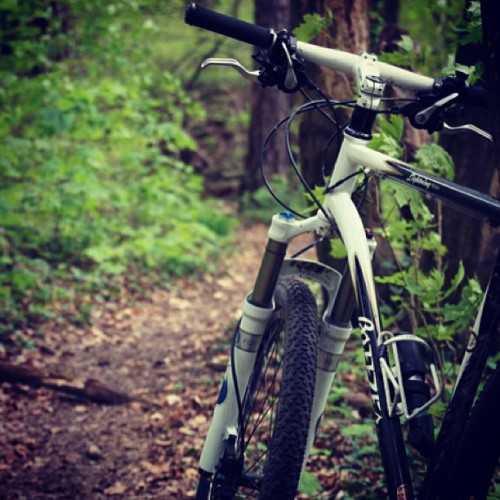 iaavd: tonight im gonna mountainbike with my best friend <3 love her