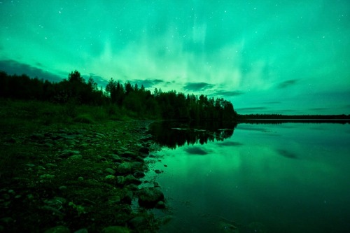 Chasing The Lights // Alaska