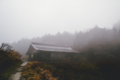 foxmouth:  Nagano / Hakone, 2014 | by Sam Alive 