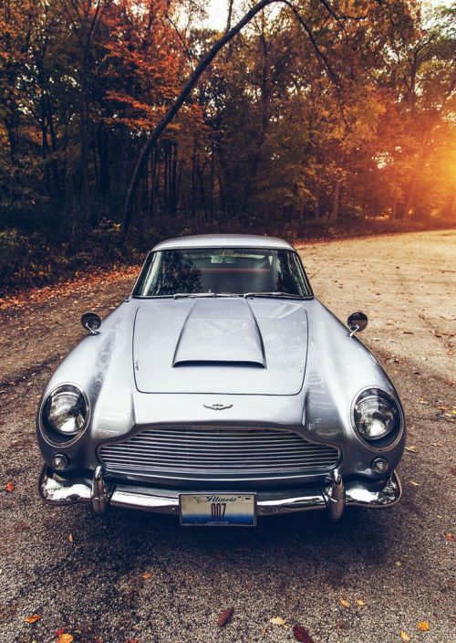 gentlecar:  Aston Martin DB5