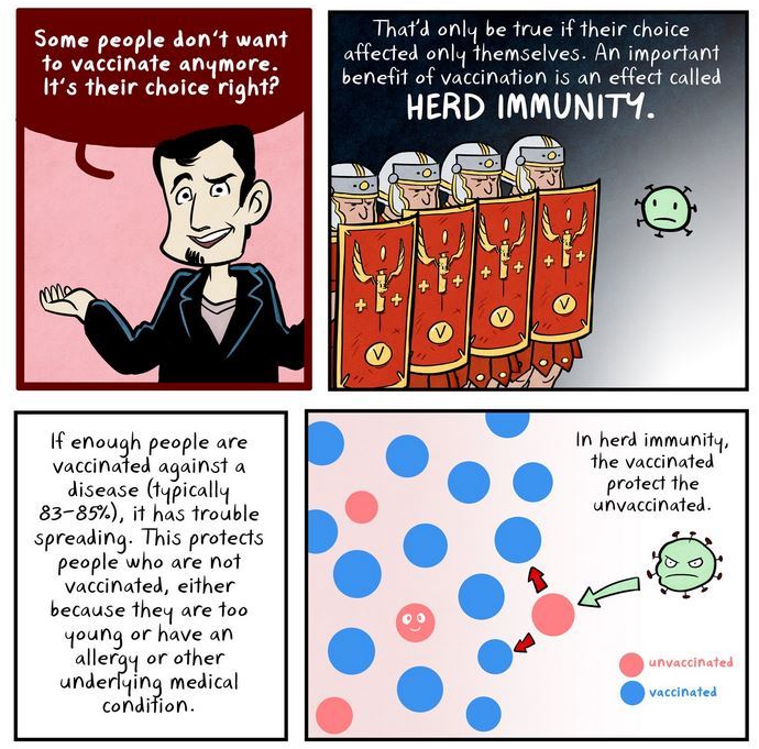 hoovesandheartbeats:  &ldquo;How Vaccines Work&quot; Source Credit: Maki