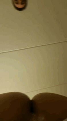 Huksy breeds Scruff hot latin smooth cub