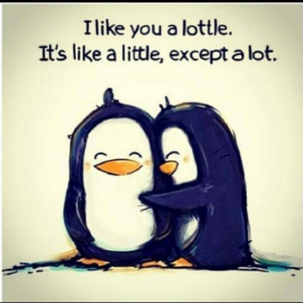 shortstop595:  #alottle #alot #plus #a #little #penguins #cuteness #cute 