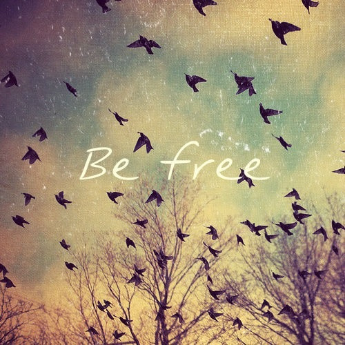 Life its free