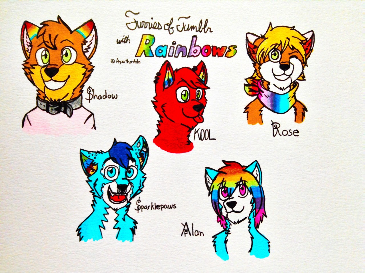 furrywolflover:  ayzutho-the-catfox:  Furries of Tumblr Collection  Aww I dont see