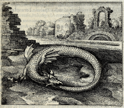 orbisonblue:nemfrog:A dragon that swallows its tail. Atalanta fugiens, hoc est, Emblemata nova de se