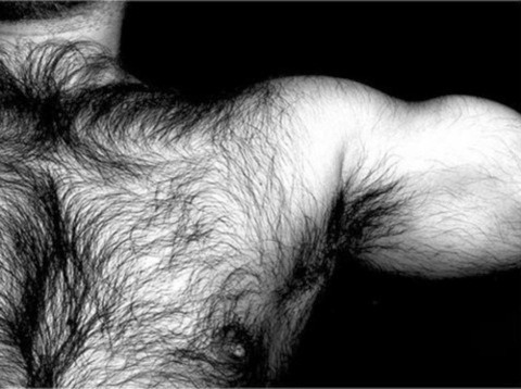 XXX asodomite:  Hairy and hot, love that hairy photo