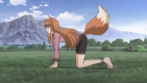 Holo the Wise Wolf, from Spice and Wolf.