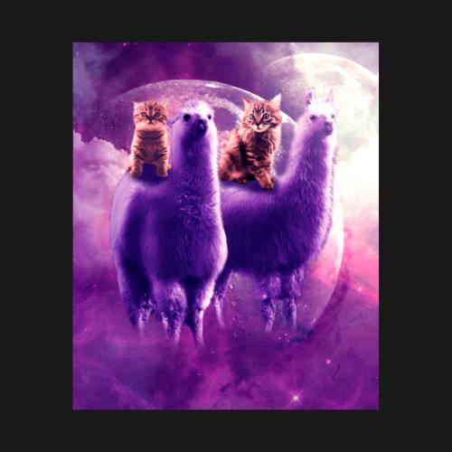 petshirts:Outer Space Galaxy Kitty Cat Riding On Llama T-ShirtPick up this awesome cosmic cats on ll