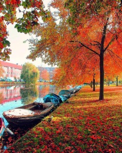 dreamingofgoingthere:  Amsterdam, The Netherlands  