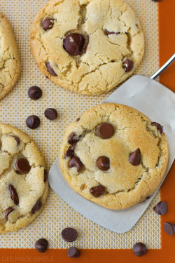 do-not-touch-my-food:Chocolate Chip Cookies