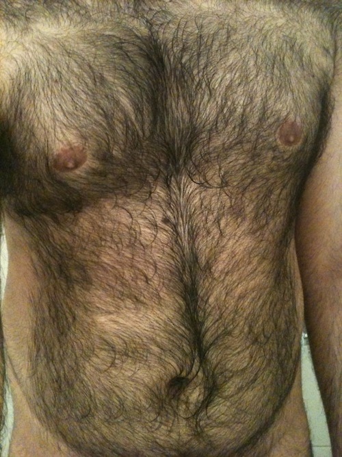 FaceBEAR