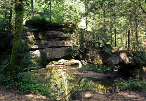 Day trip to Red River Gorge in KY! Creation Falls, Princess Arch, and Chimney Top Rock.