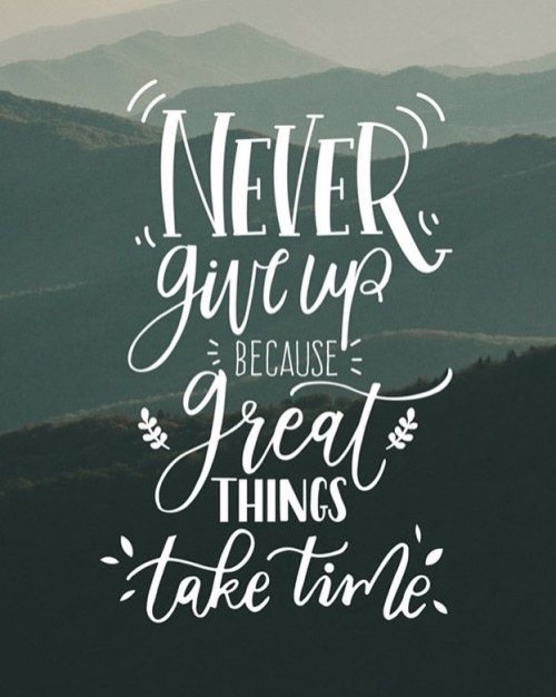 Never give up #positivevibes #positivity #positivequotes #positivethinking #positivethoughts #positi