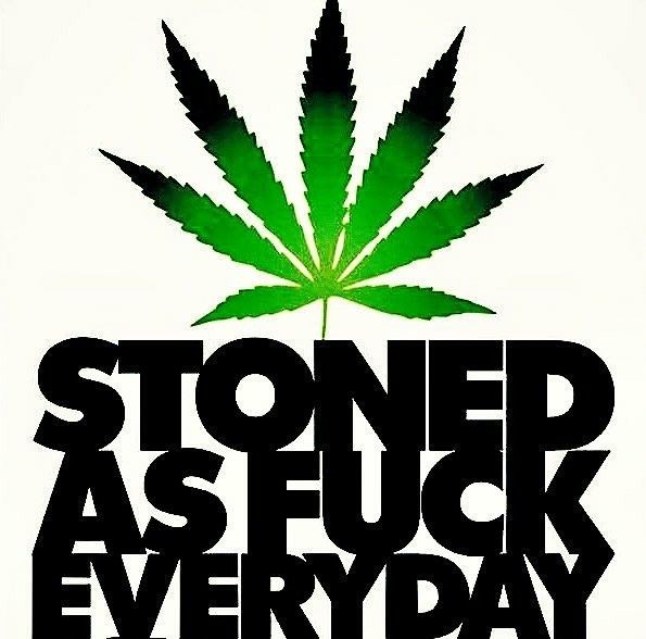 trippyhaze420x:  