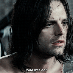 Your Bucky