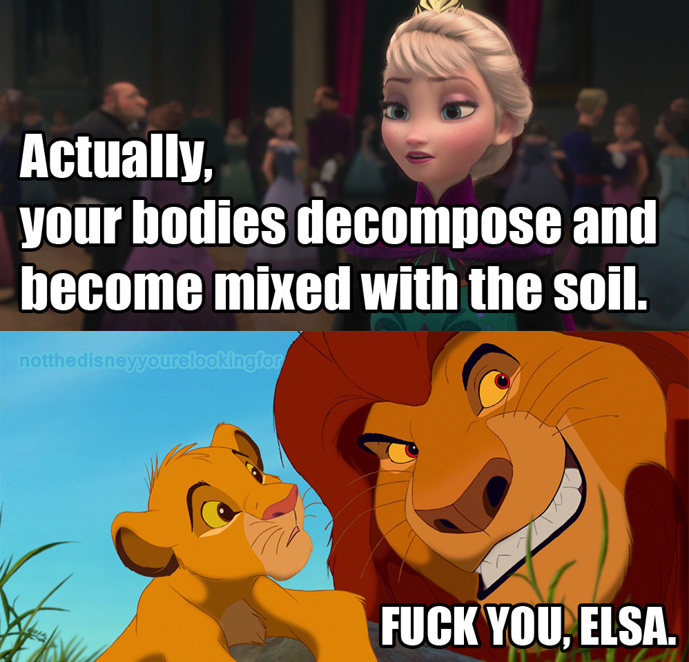 Not the Disney You're Looking For