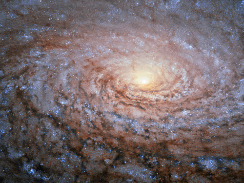 The arrangement of the spiral arms in the galaxy Messier 63 recall the pattern at the centre of a su