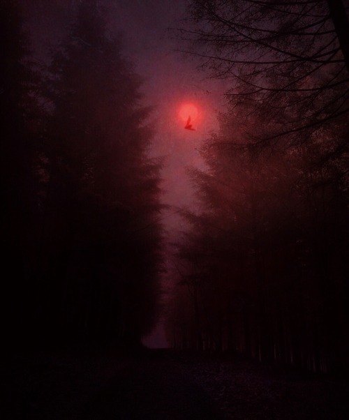 Nona Limmen