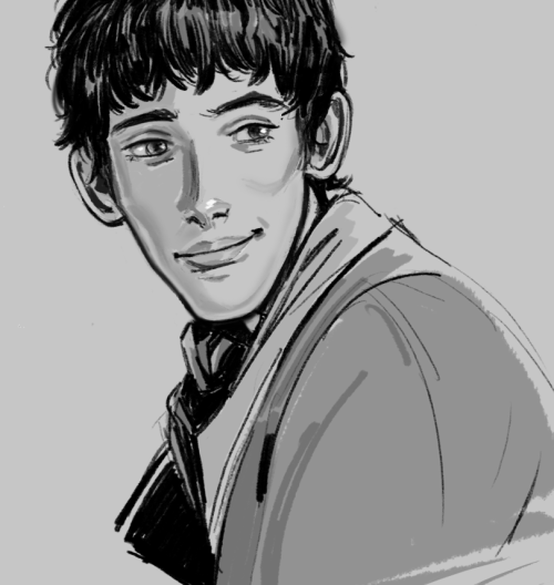 ectology:some more merlin drawings