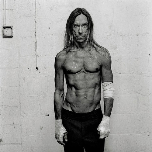 aestheticbullshit:  IGGY POP. 