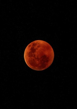 hawxr:  Super Moon Glowing from Forest Fires