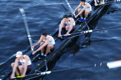 loverofbeauty:  Rowers 