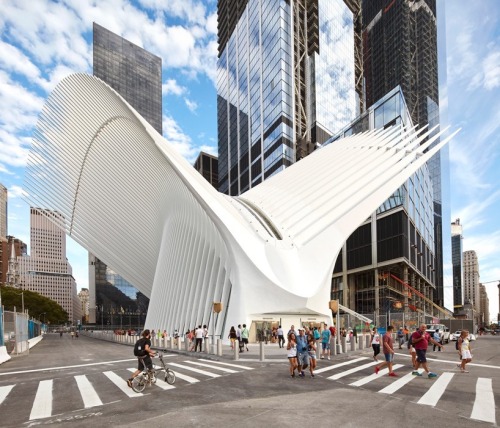 the oculus WTC new york by Santiago Calatrava