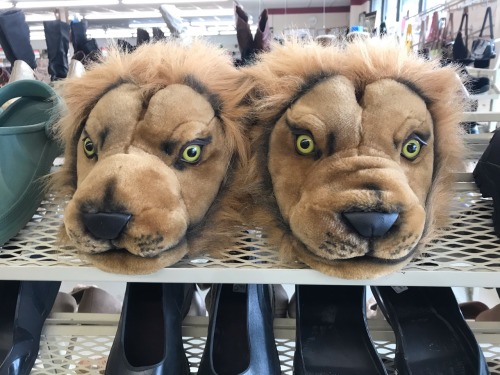 These slippers are terrifying.