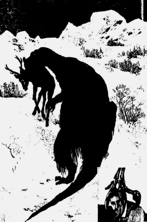 cryptid-wendigo:These images were published in Je Sais Tout (or “I Know All”),