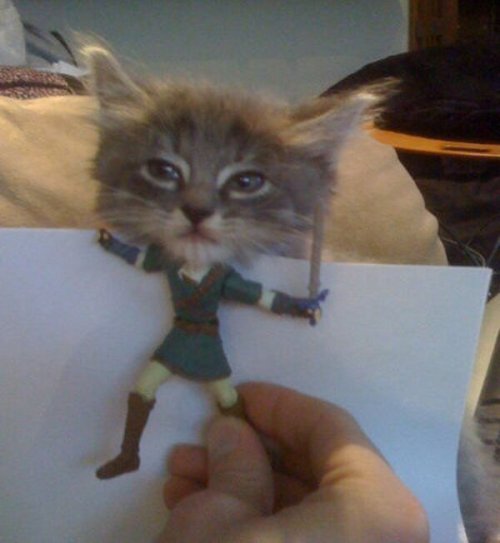 lampsarepeopletoo:HYAAAAAAEOW