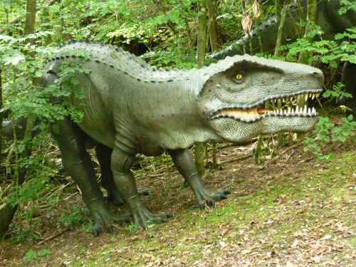 Dinosaur Park at Dan-yr-Ogof, September 2014