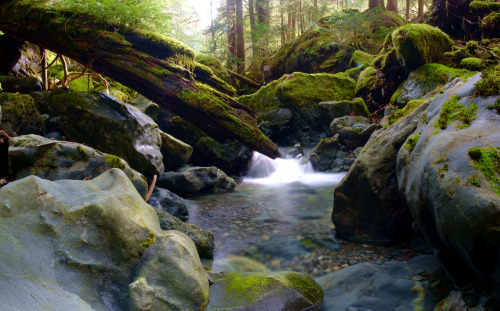 East Fork Lena Creek by Hesmeister