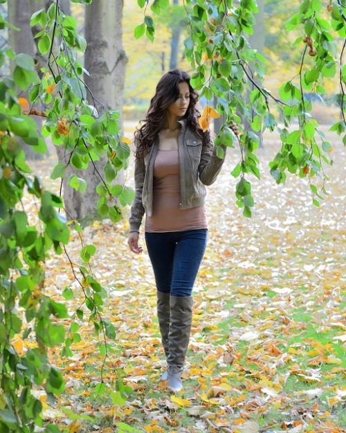 Autumn walk