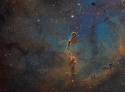 freakishlybeautifulspace:  The Elephant’s Trunk in IC 1396 — It is over 20 light-years long, contains the raw material for star formation, and is hiding protostars within the obscuring cosmic dust