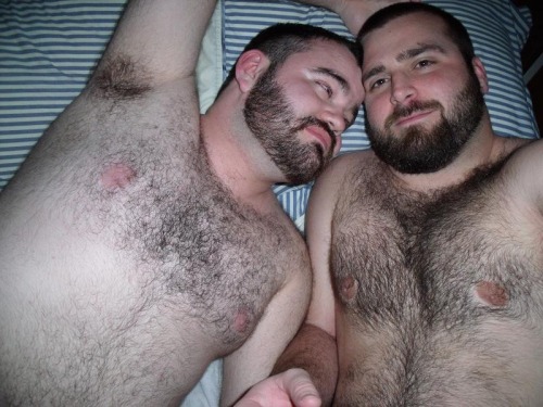 Porn Pics armpitluvrs:  2 Bears 