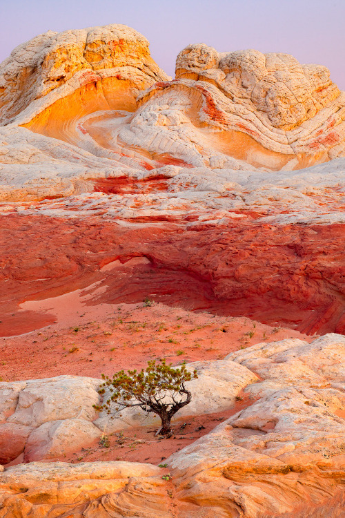 expressions-of-nature:  Arizona Butte by Rex Naden   Niceeee “nature is a book in itself..please read”