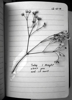 extramadness:  More quotes here