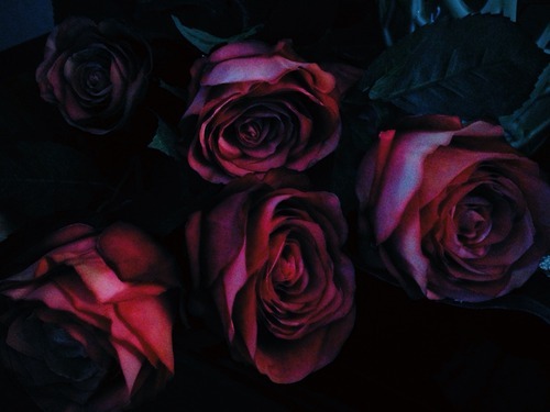 so-goth:✝ LOVERS OF ALL THINGS DARK ✝