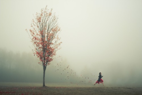 elizabethgadd: &ldquo;The Leaf Thief&rdquo;