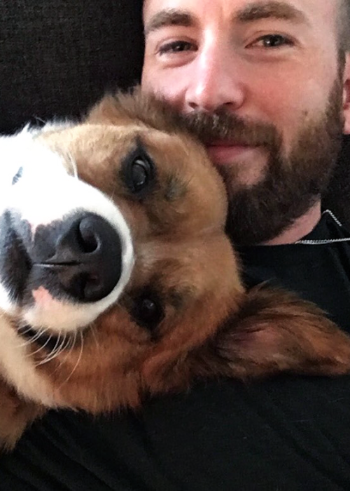 Chris Evans And Dodger Being Best Buds.