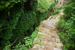 suiiko:An abandoned fishing village in China 