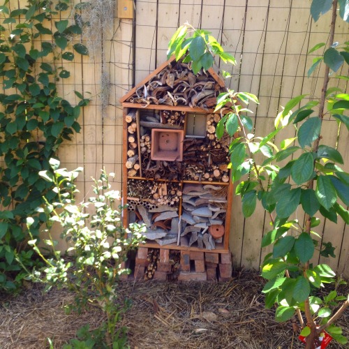 plant-rant:Salvaged some materials from the backyard and garage to make an insect hotel for our back