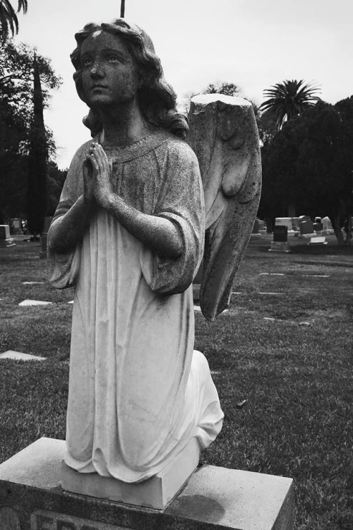 : Hollywood Forever Cemetery | GarettPhotography